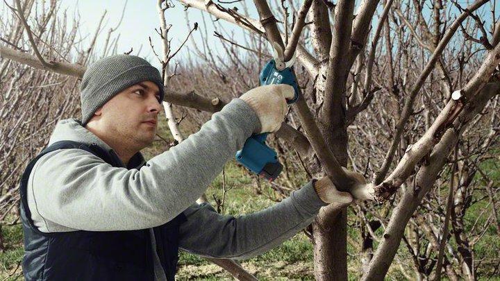 Immagine prodotto Bosch Professional Pro Pruner