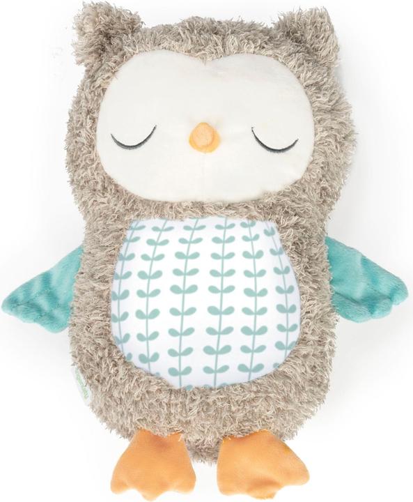 Actual product image Ingenuity Snuggle Sounds™ Nally™ Soothing Plush Toy (22.86 cm)