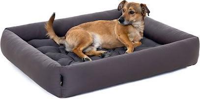 Immagine prodotto Pointer Letto per cani con cuscino (Cane)