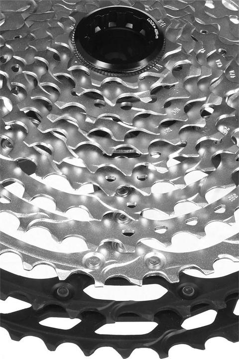 Actual product image Shimano Deore XT CS-M8100 (12-speed, 10-51)