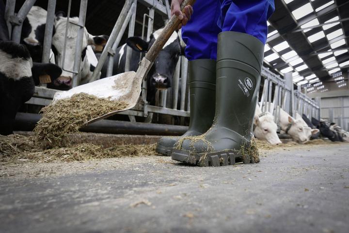Produktbild Kerbl Sicherheitsstiefel S5 Bekina Steplite XCI Winter (S5, 37)