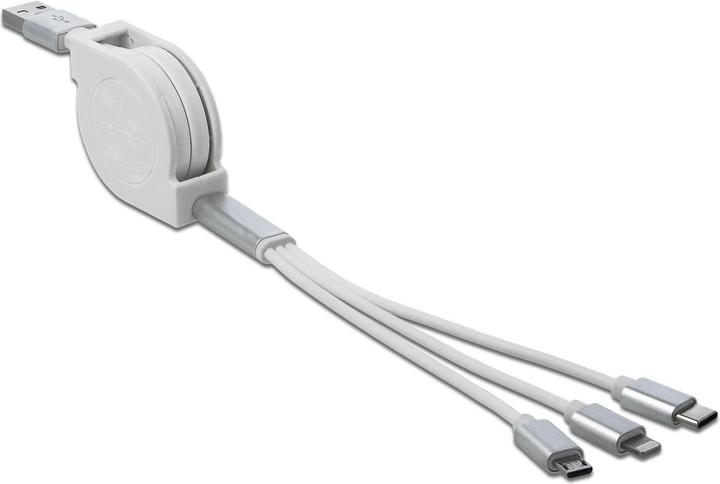 Image du produit Delock Câble adaptateur USB 3.0 (0.98 m, USB 2.0)