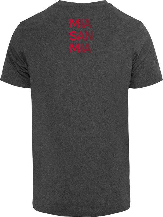 Actual product image FC Bayern München MSM GR T-Shirt Round Neck - 115647 (S)