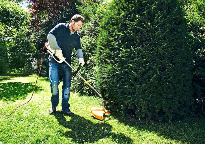 Actual product image Stihl FSE 81 (Trim line)