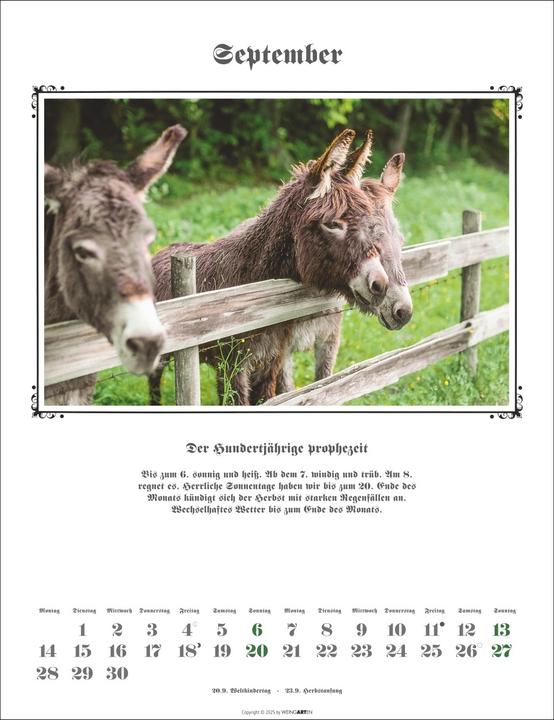 Actual product image Der Hundertjährige Kalender 2026 (30 x 39 cm, German)