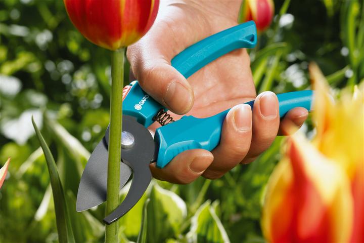 Actual product image Gardena Classic