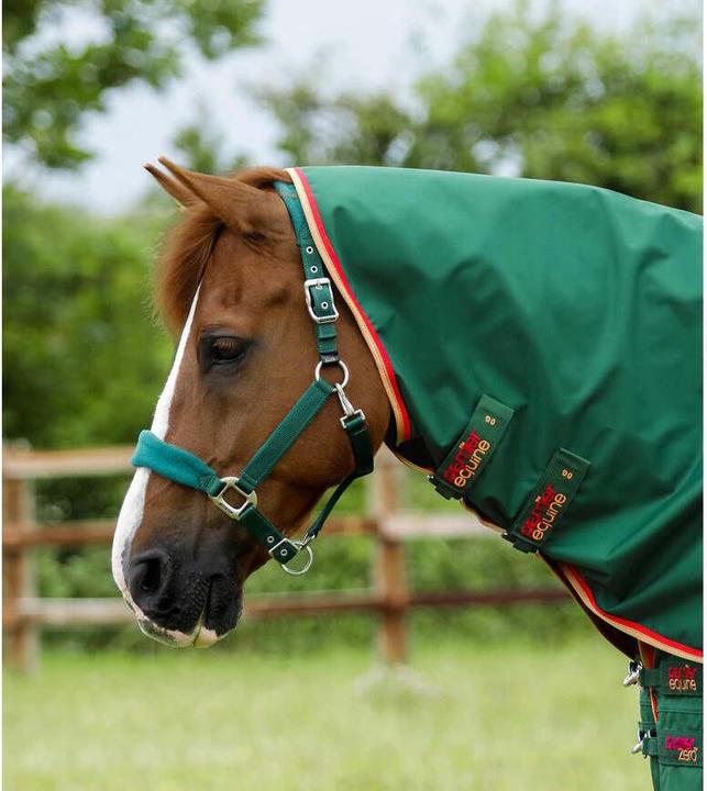 Actual product image Premier Equine Buster 0 g (160 cm)