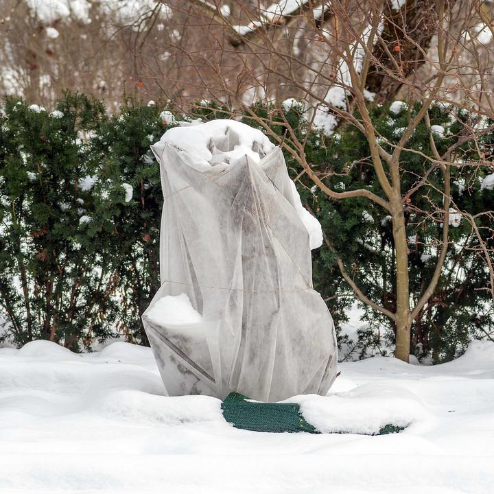 Actual product image Toboli 2x Winter Cover for Plants 80x100cm Non-woven Frost Protection Fleece Hood Fleece Cap