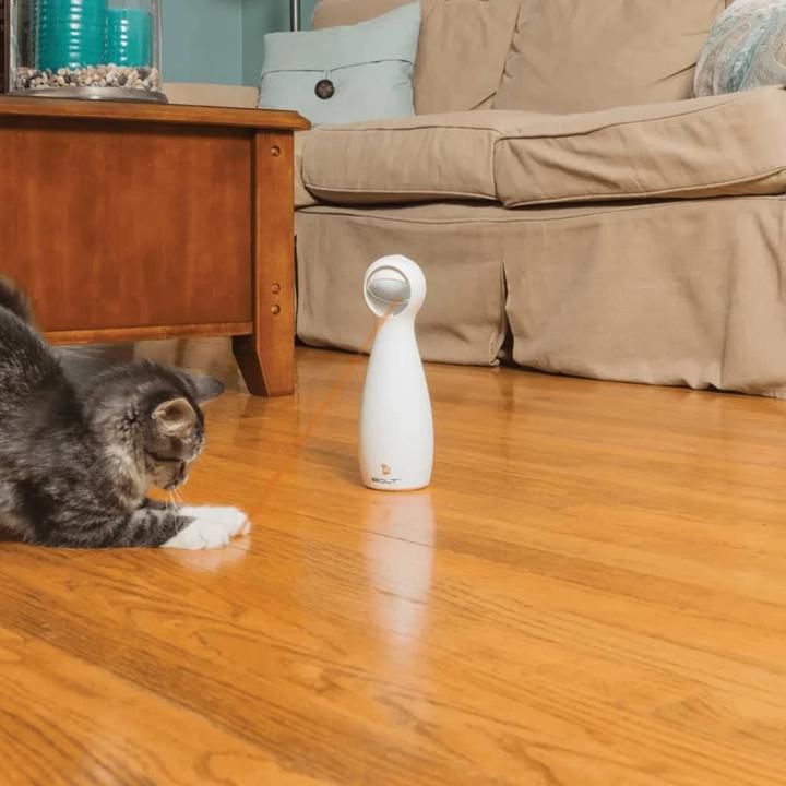 Immagine prodotto PetSafe Bullone (Catmint giocattolo)
