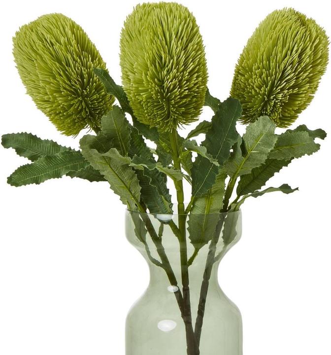 Immagine prodotto Hill Interiors Banksia Serrata Fiore Artificiale (65 cm)