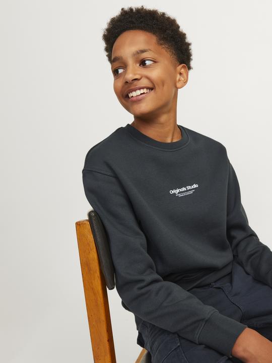 Actual product image Jack & Jones Jorvesterbro Sweat Crew Neck Bn Mni (122)