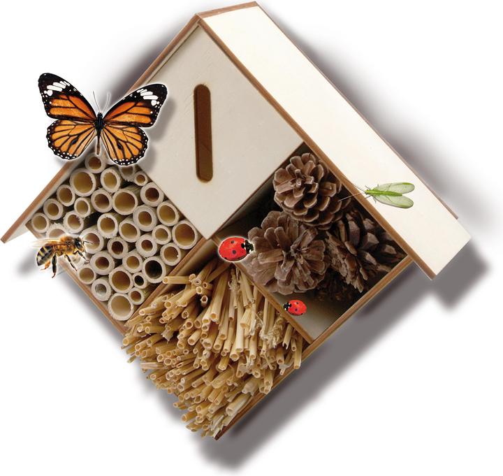 Image du produit Ses Bricoler des insectes d'hôtel (Abeilles sauvages, Abeille, Guêpes creuseuses, Chrysanthèmes)