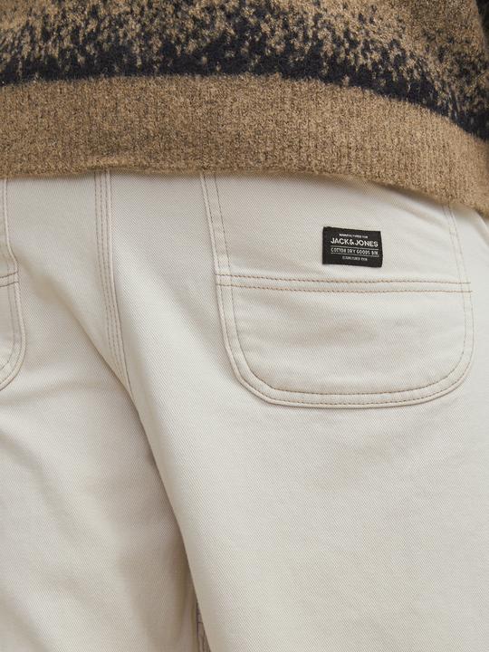 Actual product image Jack & Jones Jpstowen Contrast Panel Pants Sn (W36/L32)
