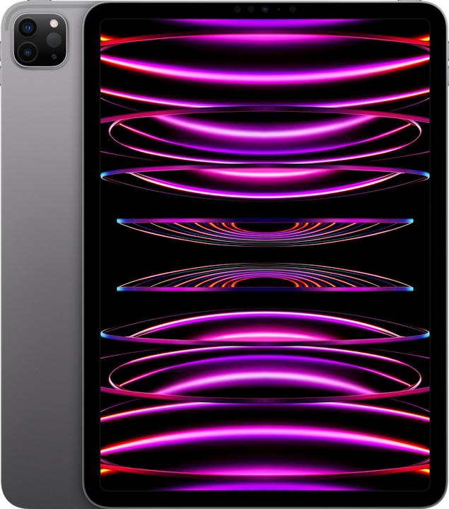 Apple iPad Pro 2022 (4. Gen) (nur WLAN, 11", 256 GB, Space Grey)