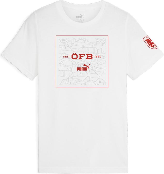 Actual product image Puma ÖFB Ftblicons Tee Jr (164)