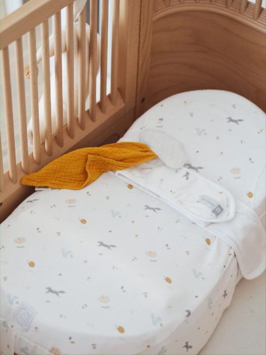 Actual product image Beaba Cocoonababy® 10° Glücklicher Fuchs