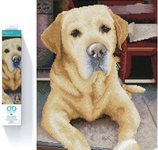 Produktbild Diamond Dotz Squares Original Diamond Painting Set Labrador "KING“ 40 x 50 cm, 28.200 quadratische