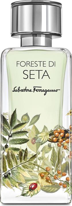 Salvatore Ferragamo Foreste Di Seta Edp 100ml (Eau de Parfum, 100 ml)