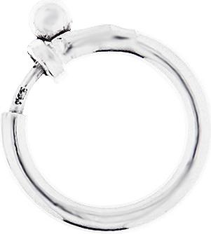 Produktbild Leyda Verschluss Federring (Silber 925)