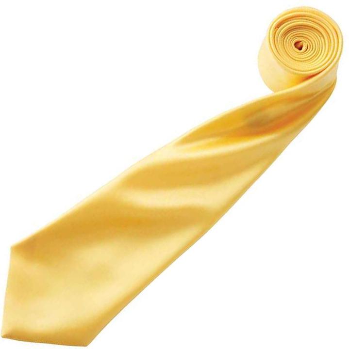 Image du produit Premier Cravate en satin unie