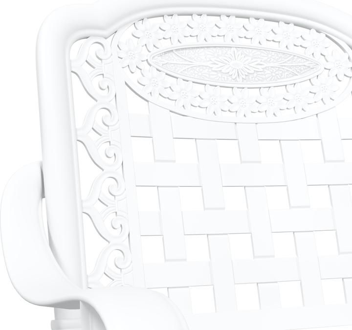 Actual product image VidaXL Garden chairs set of 2 white cast iron