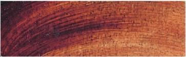 Immagine prodotto Talens Pittura ad olio Rembrandt Style de Grain (40 ml)