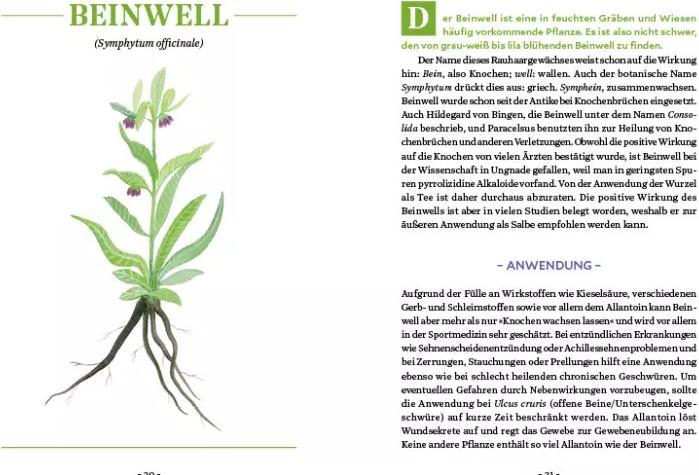 Image du produit Die Kraft der Wurzeln (Allemand, Le berceau de Miriam, 2020)