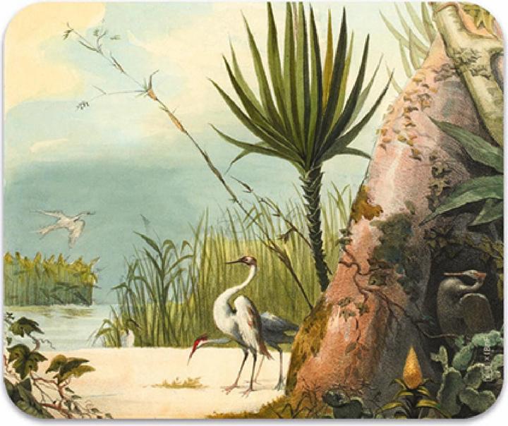 Image du produit Kiub chiffon microfibre pour lunettes herons voyage