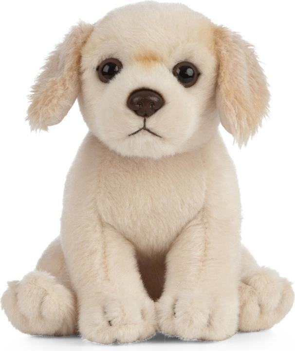 Actual product image Living Nature Golden Retriever Puppy (16 cm)