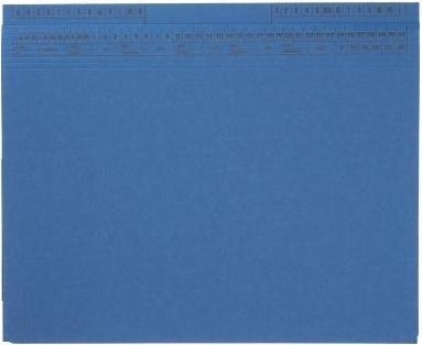 Soldan SoldanPlus Hängehefter CLASSIC 1417807 bl (A4, 1 x)