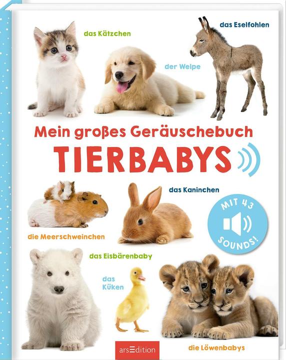 Produktbild Mein grosses Geräuschebuch – Tierbabys (Deutsch)