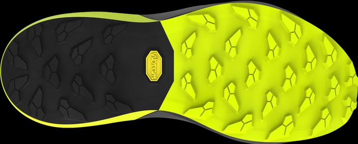 Image du produit Dynafit Ultra Pro 2 Laufschuhe Herren (40)