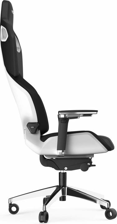 Actual product image RECARO Exo Platinum 2.0
