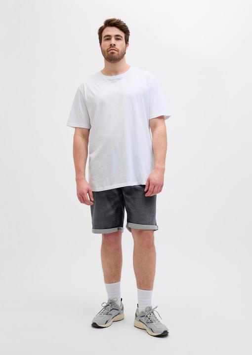 Image du produit Jack & Jones JJIRICK JJICON I.K. SHORTS GE 062 SN PLS (46)