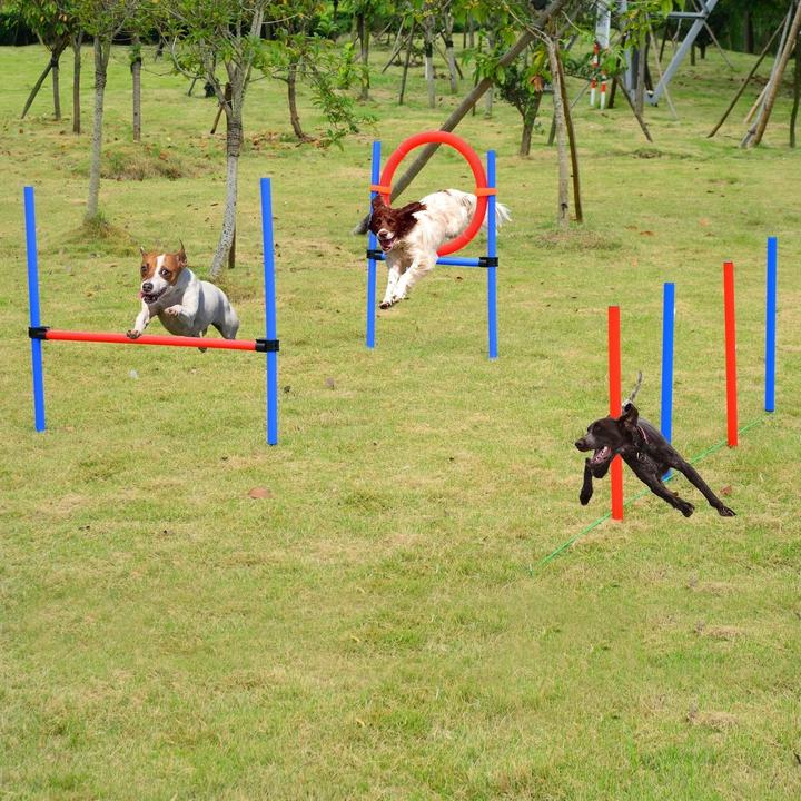 Produktbild Jamb Agility Set (Agility)
