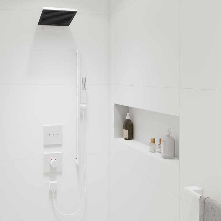 Produktbild hansgrohe Pulsify E Stabhandbrause 100, 1 Strahlart EcoSmart, 24320 (1 Strahlarten)