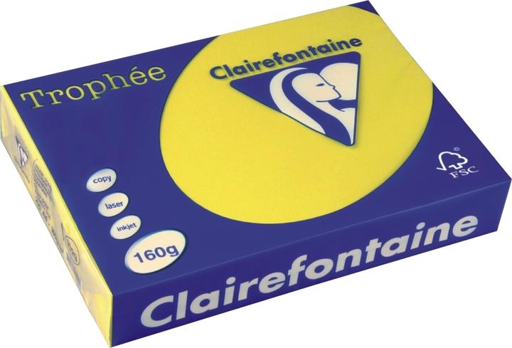 Giallo canarino