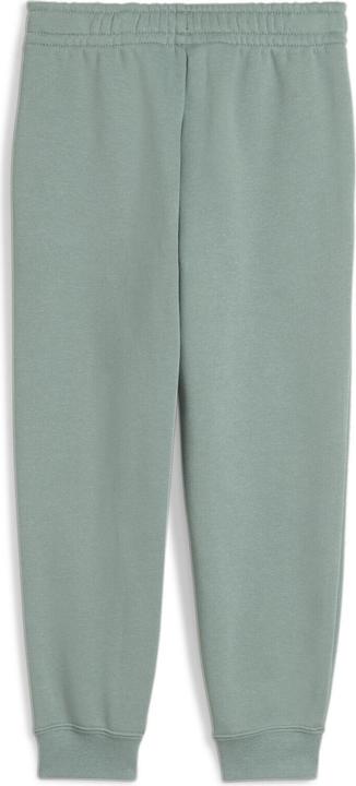 Actual product image Puma ESS No. 1 Logo Sweatpants FL PS (98)
