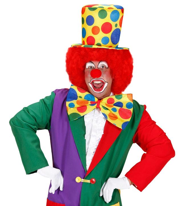 Immagine prodotto Widmann Clown mosca gigante