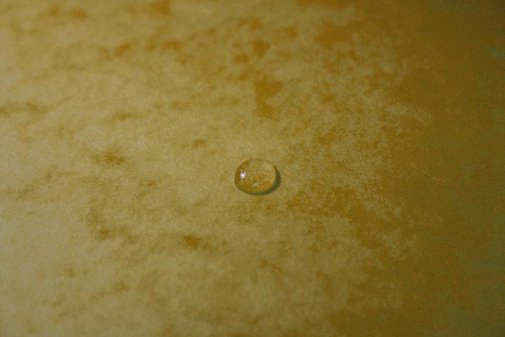 Actual product image Exacompta Folder (A4, 1 x)