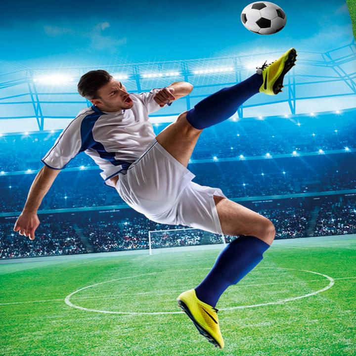 Produktbild Herding Fussball