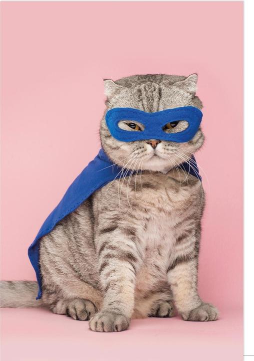 Immagine prodotto Braun + Company Gatto Superman (1 pz.)