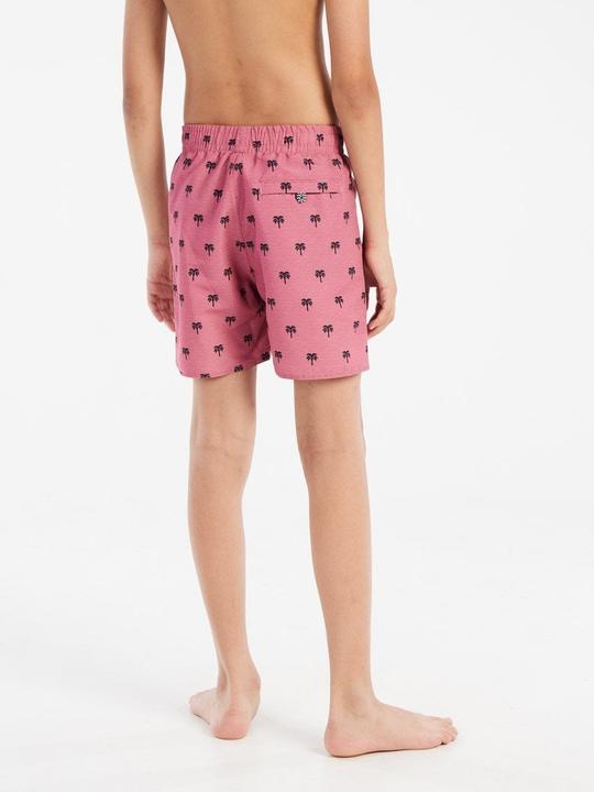 Immagine prodotto Protest Badeshorts PRTSteven (116)