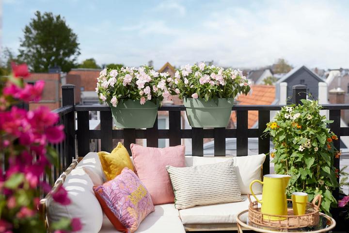 Produktbild Elho Vibia Campana Flower Bridge (26 cm)