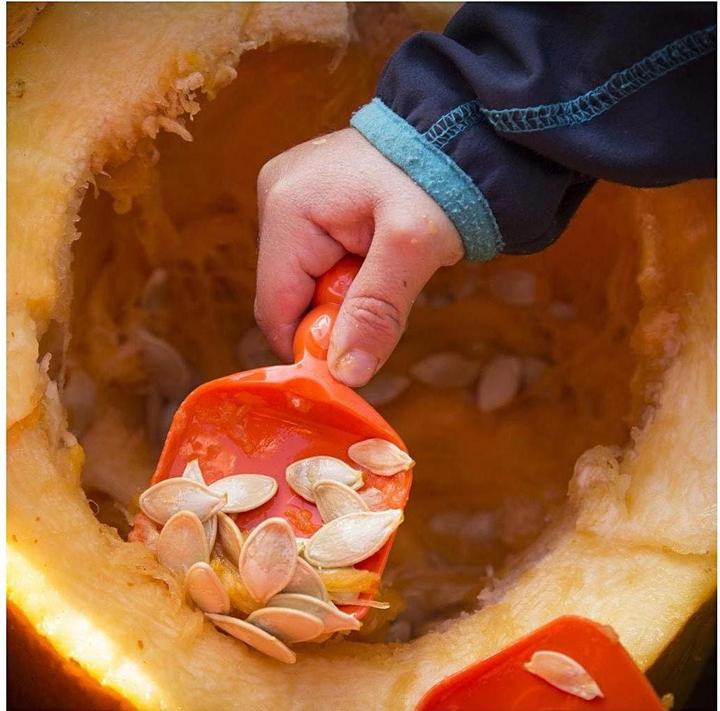 Immagine prodotto Creativ Company Strumento per intagliare la zucca