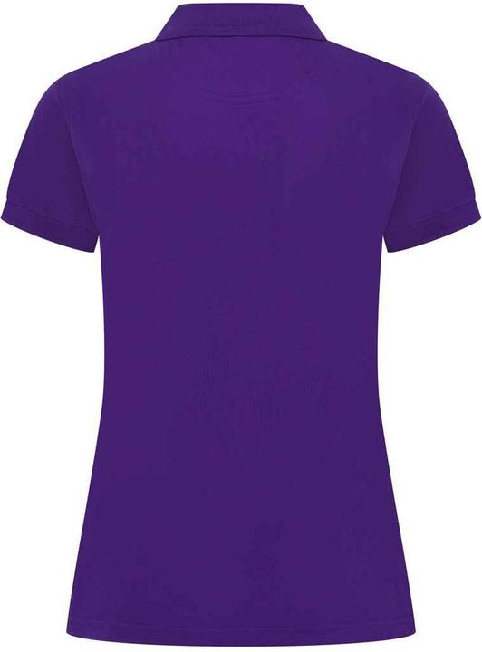 Actual product image Henbury polo shirt (S)