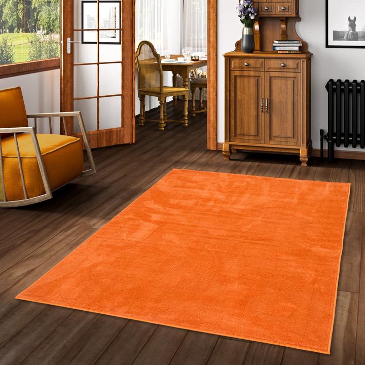 Produktbild Snapstyle Luxus Super Soft Hochflor Langflor Teppich Deluxe (200 x 300 cm)