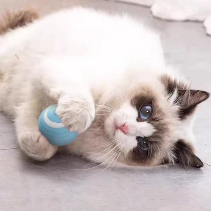 Actual product image Suba Electric cat ball with LED light (Cat ball toy)