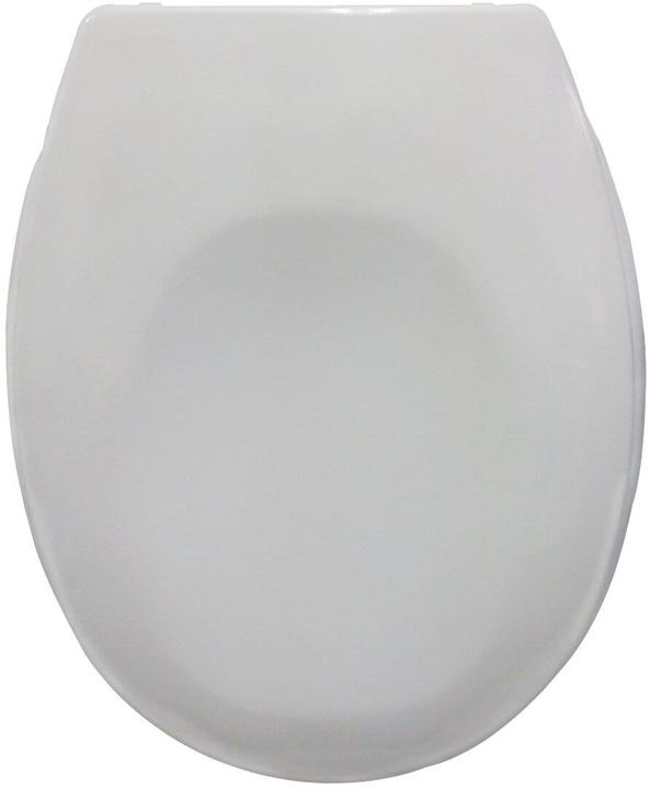 WC Deckel