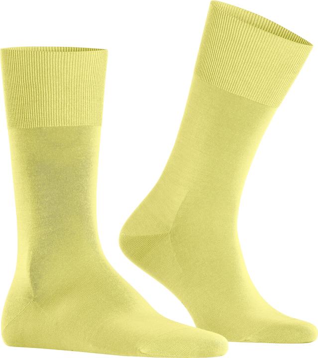 Actual product image Falke ClimaWool Men (43 - 44)